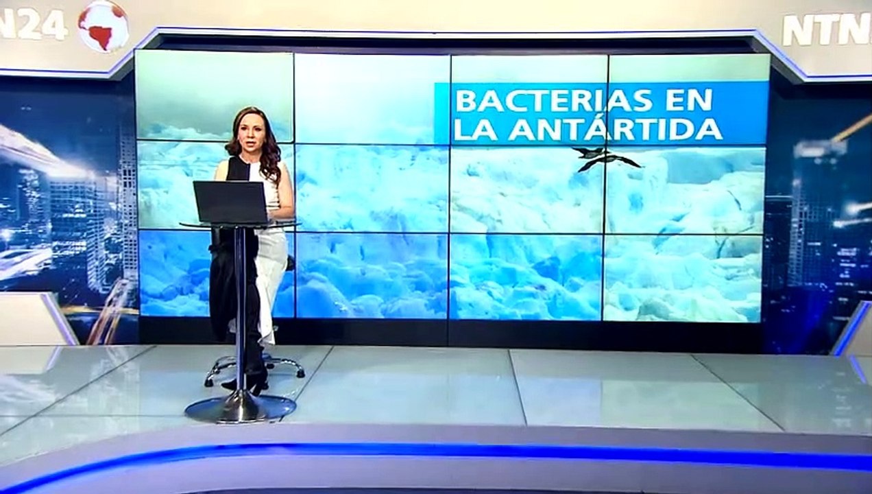 Nuevas bacterias en Antártida
