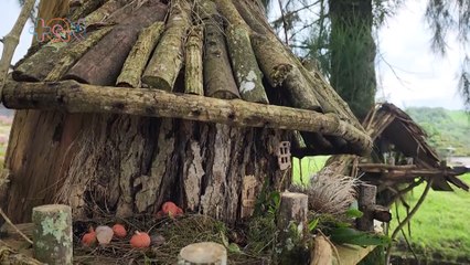 mqn-Encuentran Villas de duendes en Las Nubes de Coronado -271022