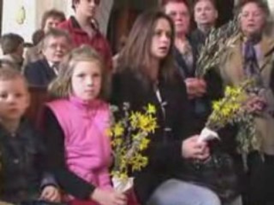 Cvjetnica2008