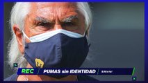 Pumas sin identidad - Reacción en Cadena