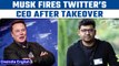 Elon Musk now owns Twitter, fires CEO Parag Agarwal and others | Oneindia News *News