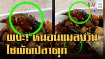 ข่าวเที่ยงอมรินทร์ | ช็อกหนักมาก! สั่งผัดปลาดุกผัดเจอหนอนไชออกมา สุดยี๋กินไปแล้ว 2 คำ | 28 ต.ค.65