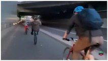 Shocking moment cyclist tries to shove rider pulling a wheelie out of his path - only to embarrassingly knock himself to the ground on busy bike lane