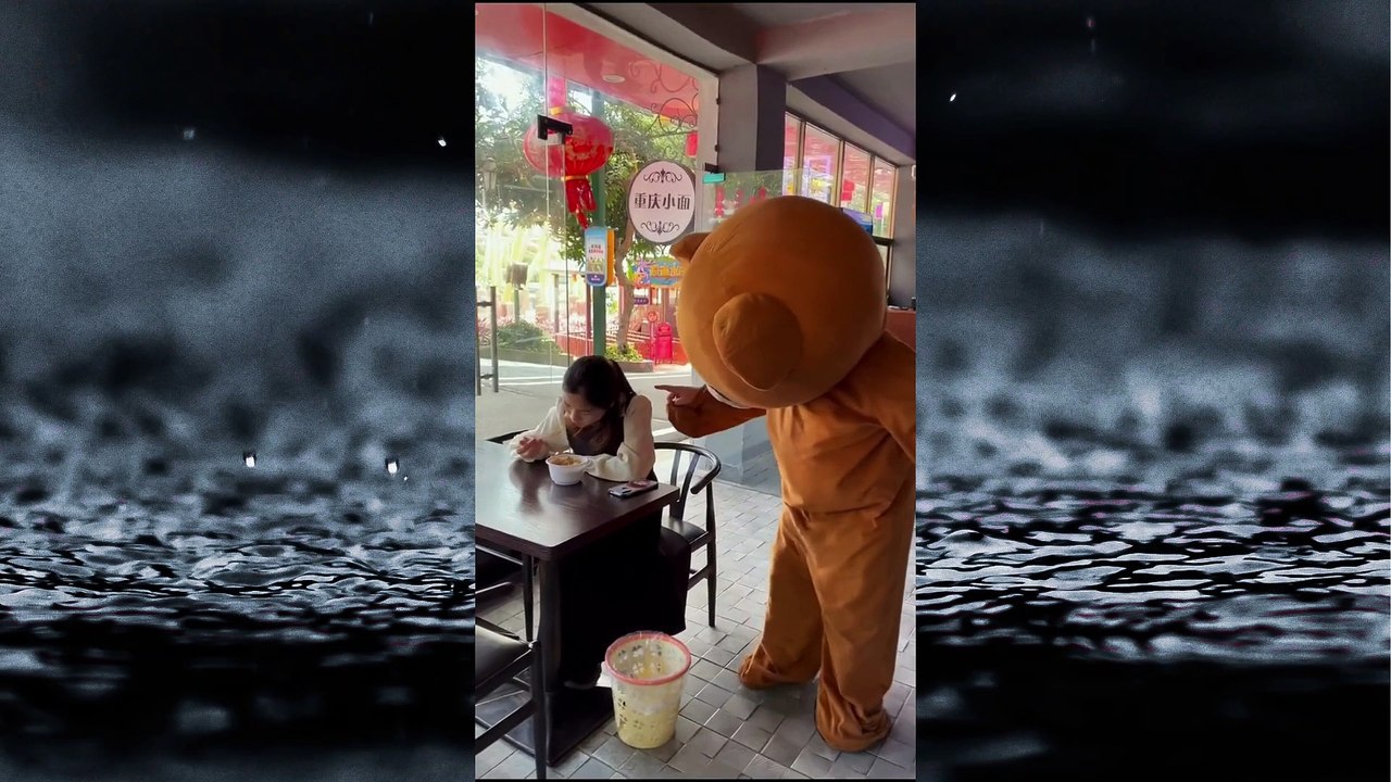 Funny Videos  funny bear # 10