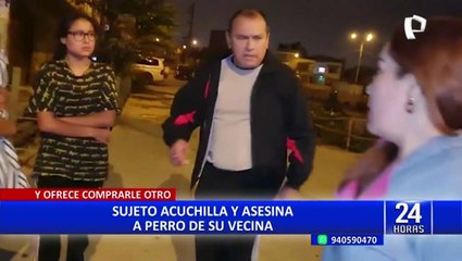 Carabayllo: Sujeto acuchilla a la mascota de su vecina