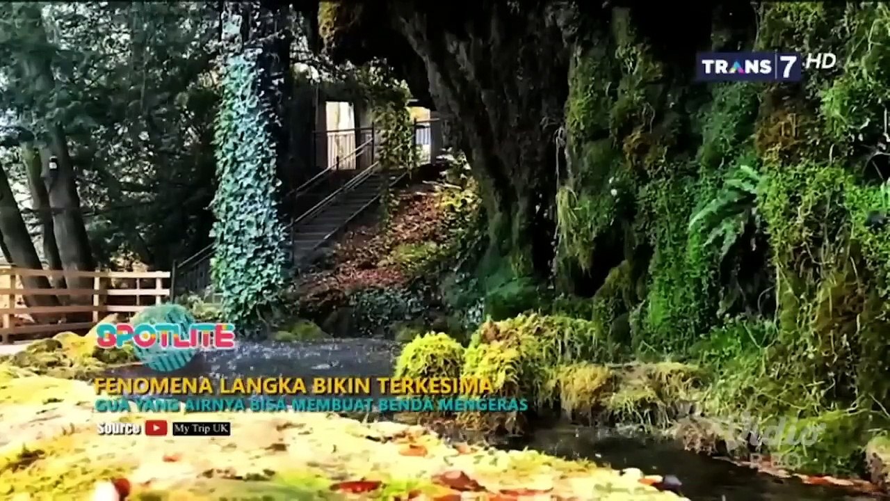 FENOMENA LANGKA YANG BIKIN TERKESIMA  -  SPOTLITE - MISTERI