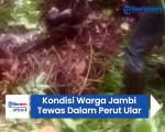 Kondisi Warga Jambi yang Ditemukan di Dalam Perut Ular Piton Tewas dan Jasadnya Masih Utuh