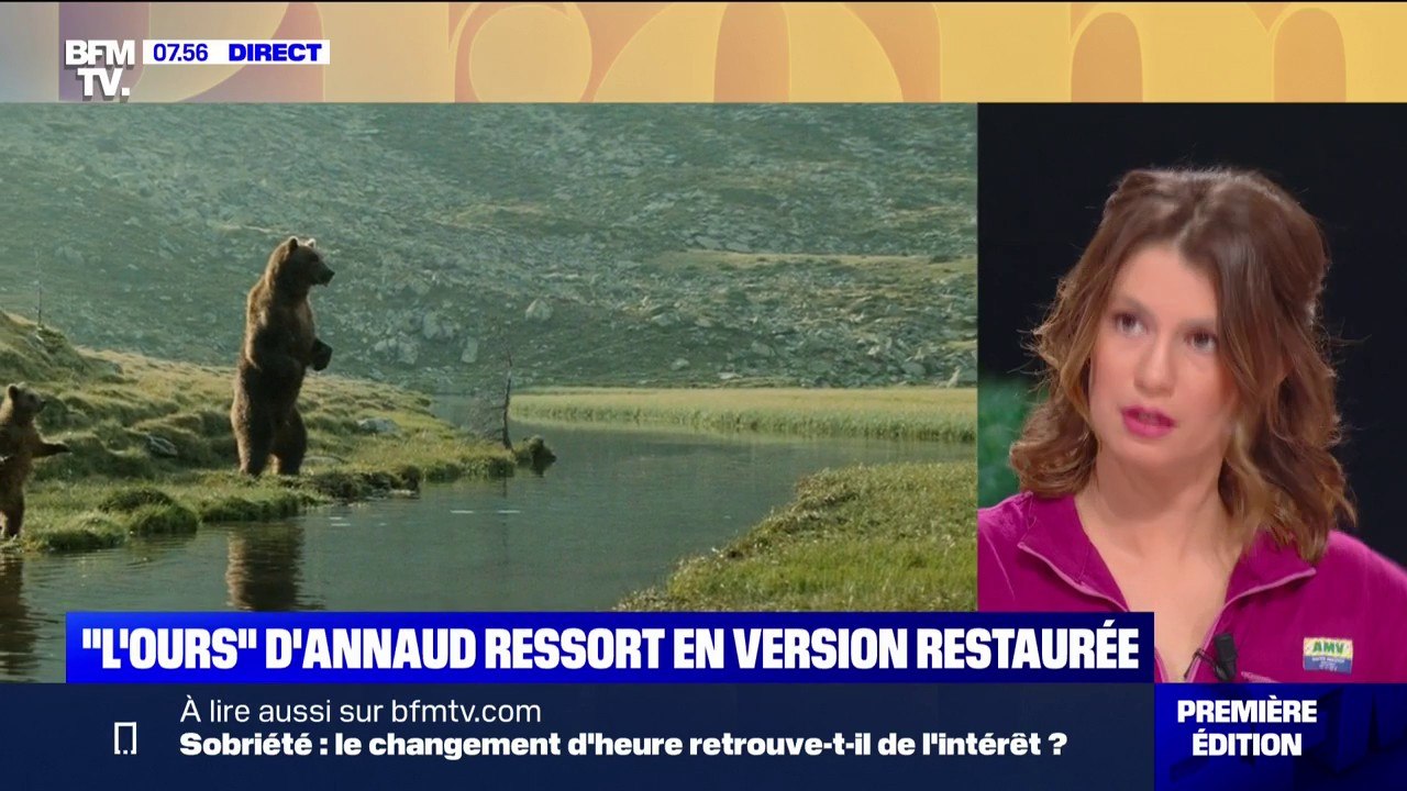 "L'Ours" de Jean-Jacques Annaud est ressorti au cinéma en version restaurée