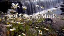 Sleeping Music For Deep Sleeping  l Meditation Music l Calm Music l  peaceful l Best Sleeping Music