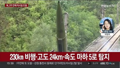 '북 위협 가정' 호국훈련 마지막 날 미사일 도발
