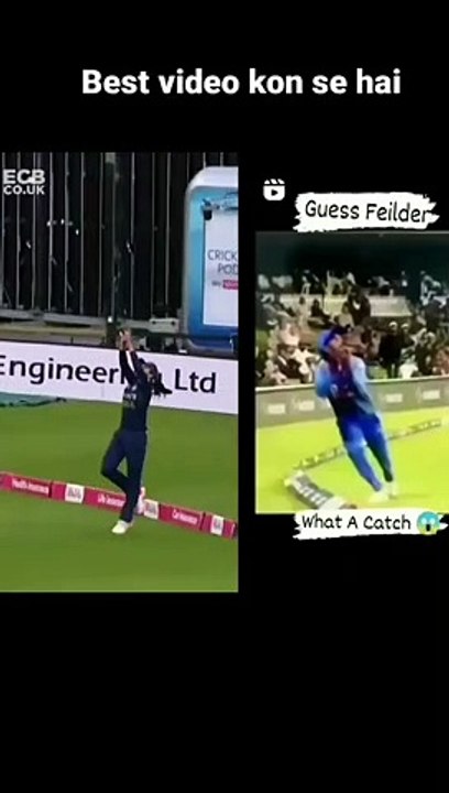 catch of the year 2022