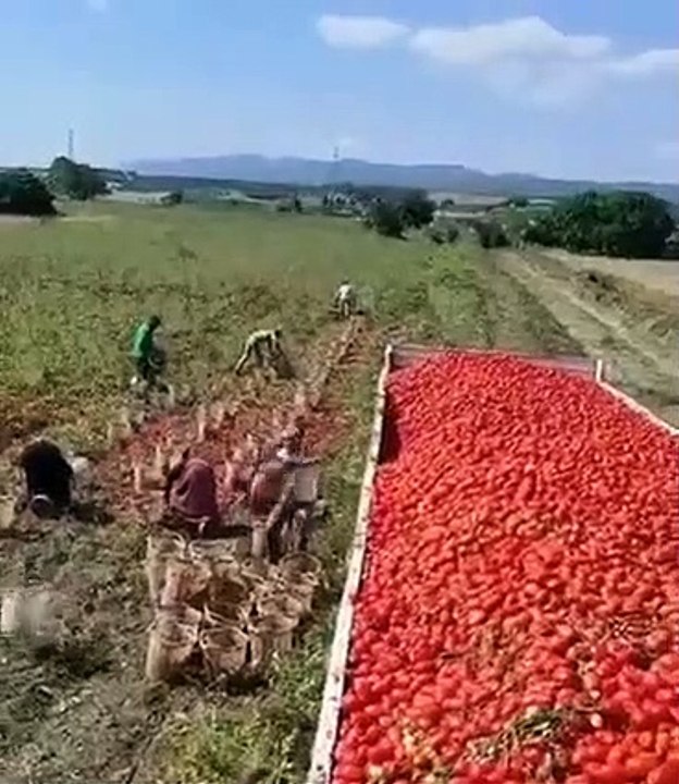 Amazing