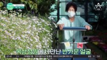 [닥터가 간다] 무릎 수술 후, 걷는 게 즐거워진 영자씨의 일상!
