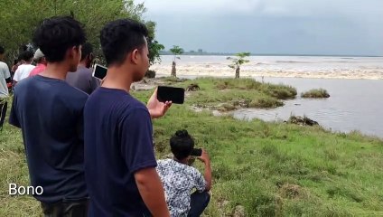 FENOMENA ALAM  BONO SUNGAI KAMPAR