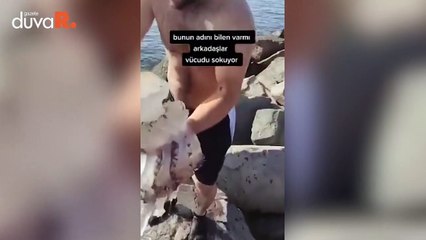 Ahtapot sandığı denizanası kucakladı, çarpılınca denize atladı