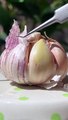 Have You Ever Eaten Garlic like this - Cat Cooking Food - Cute Cat Video #Shorts