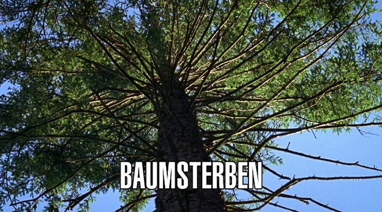 Vier Frauen und ein Todesfall Staffel 3 Folge 1 HD Deutsch