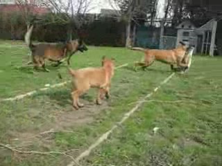 Ray-Ban, Cheyenne et Dayan à Campagne