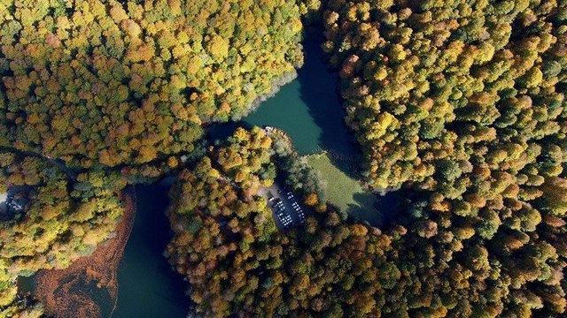 Yedigöller ziyaretçilerini sonbahar renkleriyle ağırlıyor