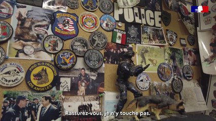 Pablo, chiens drogues et explosifs