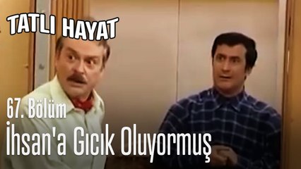 İhsan'a gıcık oluyormuş - Tatlı Hayat 67. Bölüm
