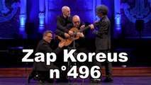 Zap Koreus n°496