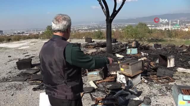 400 kovan arıyı diri diri yaktılar