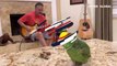 Gitar eşliğinde şarkı söylerken kendinden geçen papağanın eşsiz yeteneği