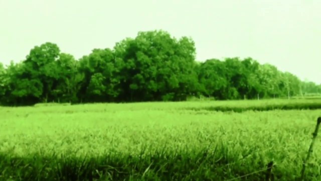 my first vlog ❤️ || my first vlog 2022 || my first vlog || viral || Koi To Dekho || Amit manjhi up Amit manjhi up vlog Amit manjhi up vlog Amit manjhi up vlog 100k Amit manjhi up vlog viral kese huaa desi vlog first vlog my first blog my first village