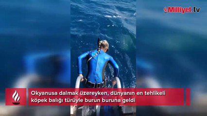 Köpek balığına yem olacaktı! Saniyelerle kurtuldu...