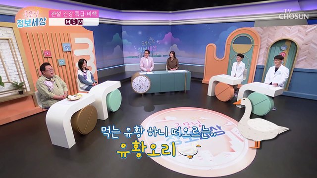 통증을 완화하고 관절을 튼튼하게 해주는 먹는 유황 → MSM TV CHOSUN 221028 방송
