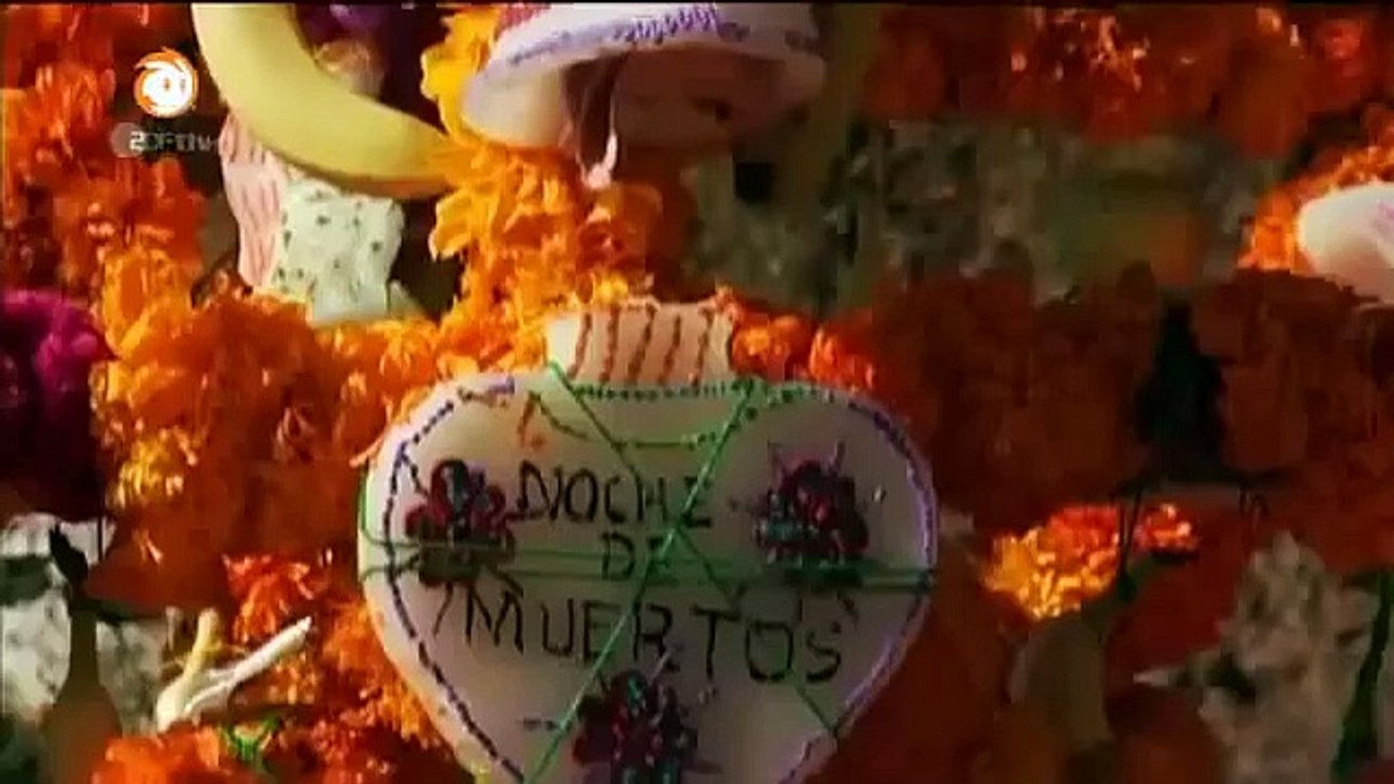 Löwenzahn Staffel 31 Folge 15 HD Deutsch