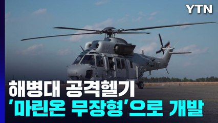 '반쪽 헬기' 논란에도...해병대 공격헬기, '마린온 무장형'으로 국내 개발 / YTN
