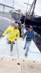 Ils voient une énorme barge incontrôlable foncer droit sur leur bateau