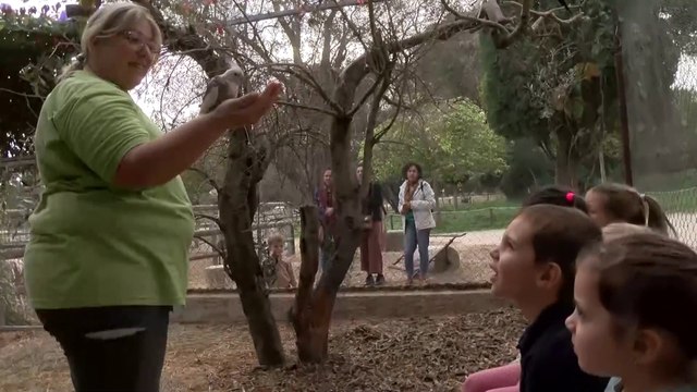 Martigues : profiter des vacances pour découvrir les petits animaux de la ferme