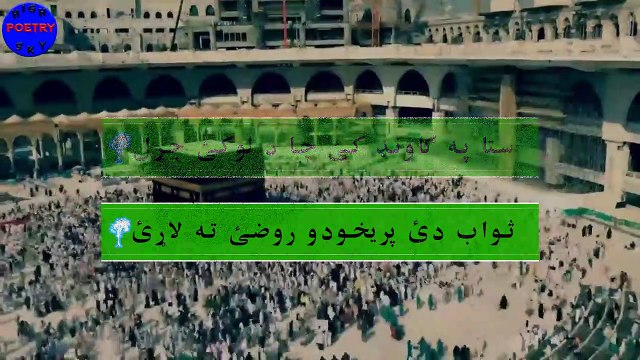 Best Pashto Poetry - Pashto heart Touching Poetry - New Poetry 2022 - High Sky Poetry