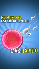 ¿Fuiste el espermatozoide más rápido?
