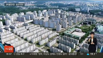 규제 완화했지만…부동산 시장 '온기' 미지수