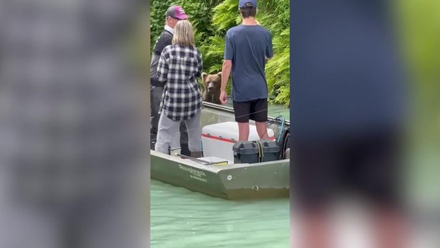 Huge grizzly bear enjoys refreshing dip in Alaskan bay metres just away from tourists
