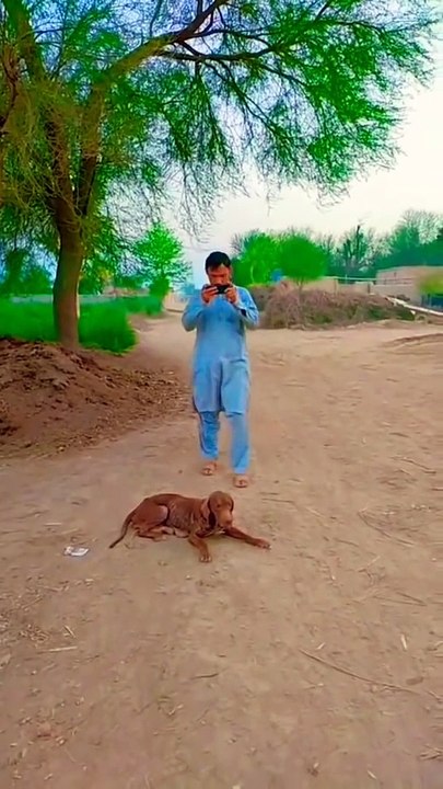 Funny video