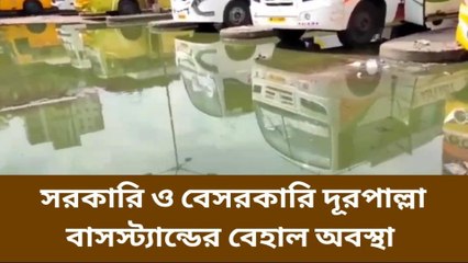 হাওড়া: সরকারি ও বেসরকারি দূরপাল্লা বাস স্ট্যান্ড যেন ডেঙ্গির আঁতুড়ঘর