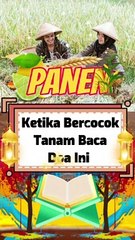 Supaya Bisa Panen Banyak Saat Bercocok Tanam Baca Doa Ini