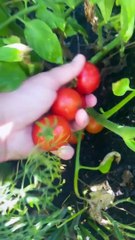 10-10 would recommend!