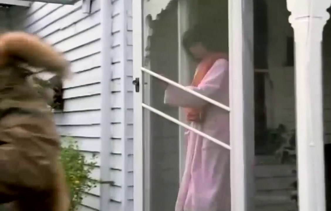 Video 1