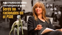 Los tres pies al gato | 'Seres no racionales en el PSOE', por Ana Pardo de Vera