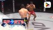 MMA: Stephen Loman vs. Bibiano Fernandes sa Nov. 19