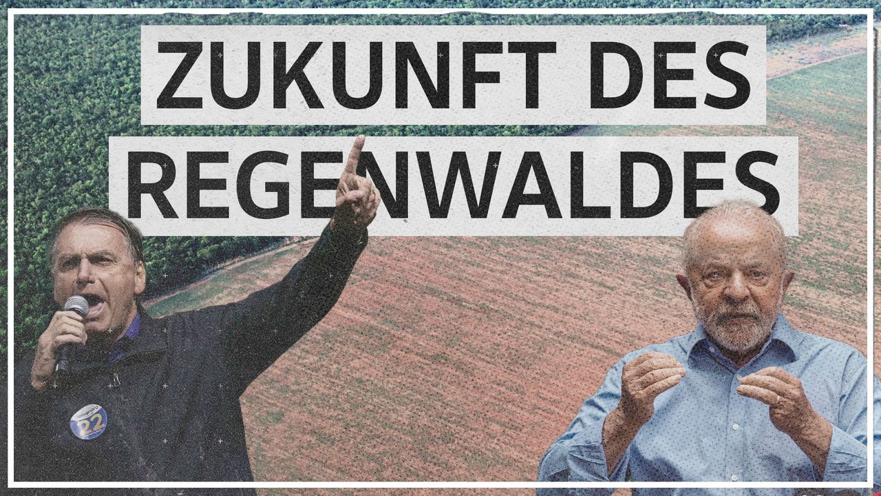 Präsidentschaftswahl in Brasilien entscheidet über Zukunft des Regenwaldes