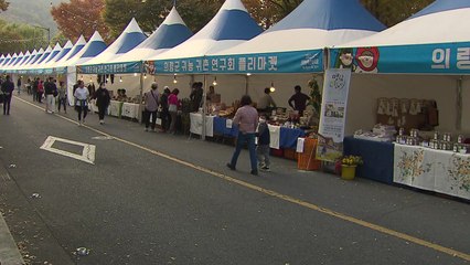 진정한 부자를 꿈꾸며...의령 '부자 축제' 개막 / YTN