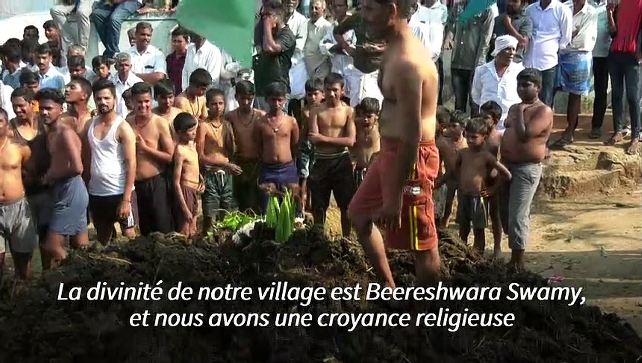 En Inde, une bataille de bouses de vache pour fêter un dieu hindou