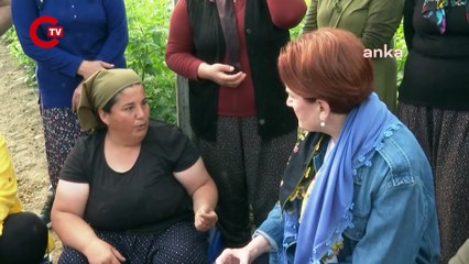 Akşener'den domates üreticisi kadınlara ziyaret: 'En ucuz çamaşır deterjanına ancak yetiyor'